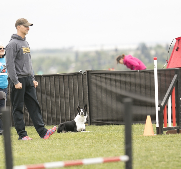 K9 Express instructors